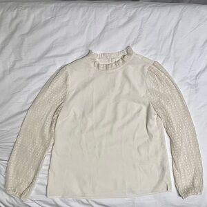 Long Sheer Sleeve Top